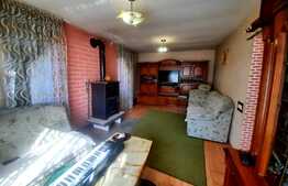 Reducere de pret!Casa individuala, finisata,160 mp, garaj, 441 mp teren, Jucu Herghelie