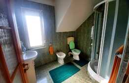 Reducere de pret!Casa individuala, finisata,160 mp, garaj, 441 mp teren, Jucu Herghelie