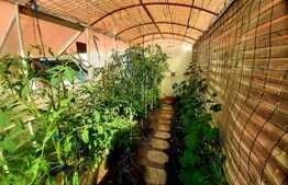 Reducere de pret!Casa individuala, finisata,160 mp, garaj, 441 mp teren, Jucu Herghelie