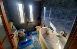 Reducere de pret!Casa individuala, finisata,160 mp, garaj, 441 mp teren, Jucu Herghelie