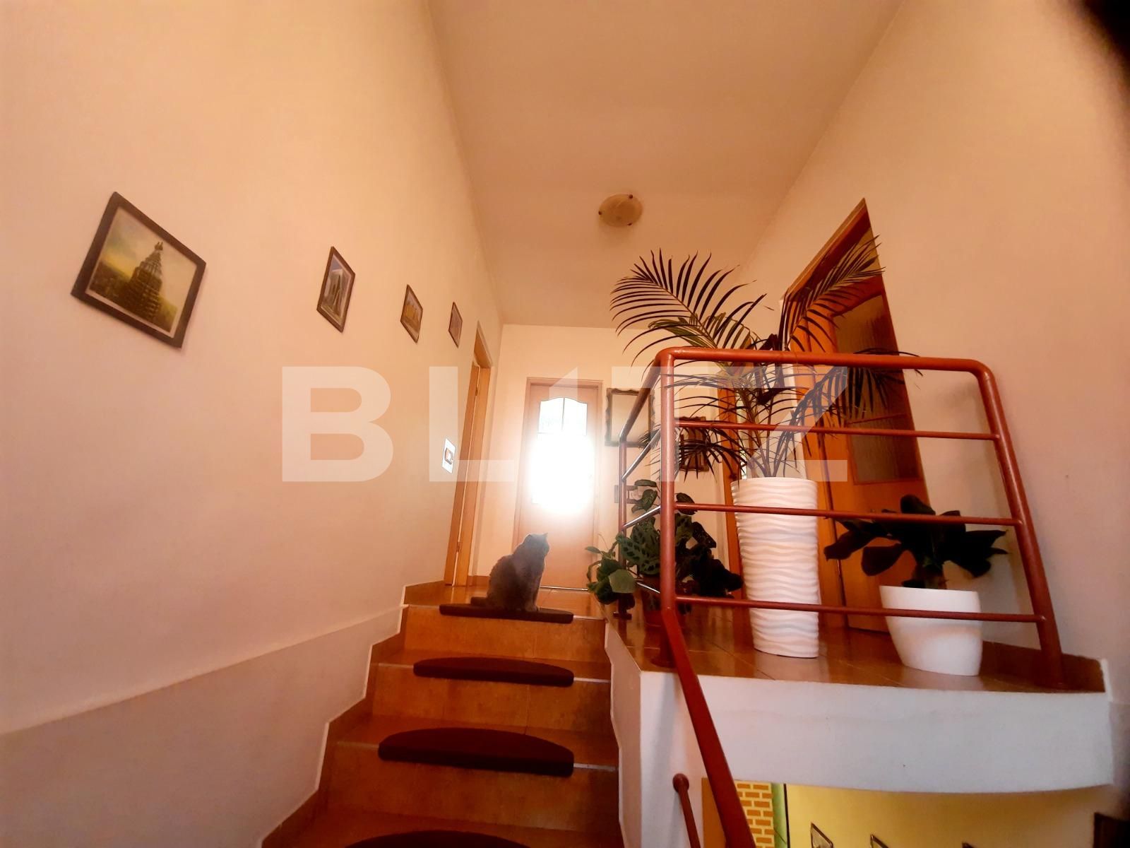Casa de vânzare 4 camere Jucu - 90532CV | BLITZ Cluj-Napoca | Poza9