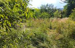  Teren 1506 mp, zona Oasului