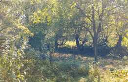  Teren 1506 mp, zona Oasului