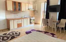 Garsoniera 35 mp, gradina, cartier Tractorul