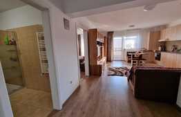 Apartament de doua camere, zona Pod IRA, cartier Intre Lacuri