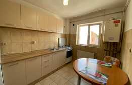 Apartament cu 1 camera, 40 mp, zona strazii Campului 