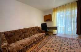 Apartament cu 1 camera, 40 mp, zona strazii Campului 