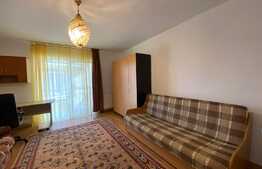 Apartament cu 1 camera, 40 mp, zona strazii Campului 