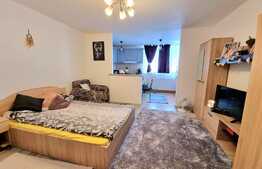 Garsoniera 32 mp, perfecta pentru investitie, zona Primaverii, Manastur