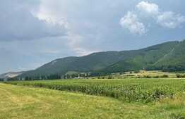 Teren intravilan industrial hala/depozit,11500mp, Cristian zona Ina Schaeffler