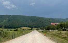 Teren intravilan industrial hala/depozit,11500mp, Cristian zona Ina Schaeffler