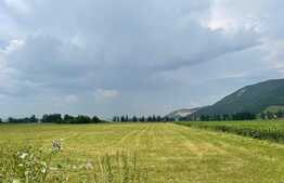 Teren intravilan industrial hala/depozit,11500mp, Cristian zona Ina Schaeffler