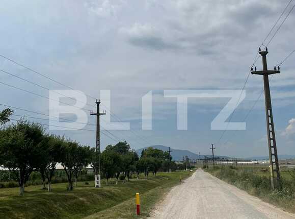 Teren de vânzare Cristian - 90565TV | BLITZ Brașov | Poza5