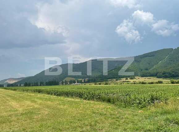 Teren de vânzare Cristian - 90565TV | BLITZ Brașov | Poza3