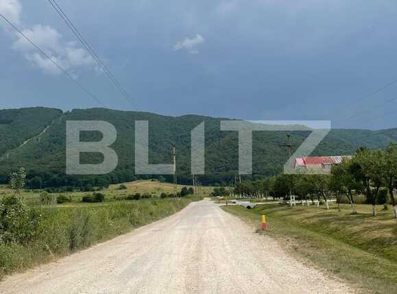 Teren de vânzare Cristian - 90565TV | BLITZ Brașov | Poza4