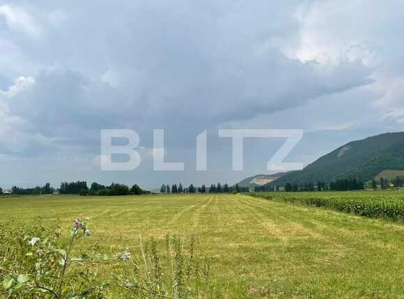 Teren de vânzare Cristian - 90565TV | BLITZ Brașov | Poza2