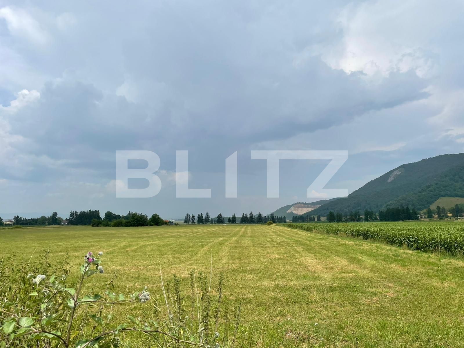 Teren de vânzare Cristian - 90565TV | BLITZ Brașov | Poza2