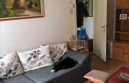 Apartament 2 camere, 45 mp, zona strazii Horea