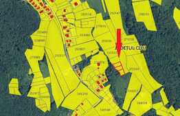 Teren intravilan 592 mp, zona Campului