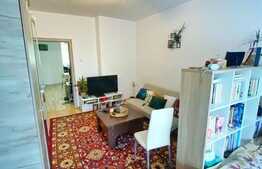 Garsoniera 45 mp, decomandat, mobilat/utilat, Manastur Arinilor.