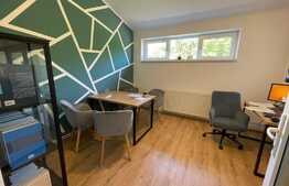 Apartament 1 camera, 29.50 mp, mobilat, utilat, zona Horea 