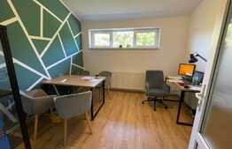 Apartament 1 camera, 29.50 mp, mobilat, utilat, zona Horea 