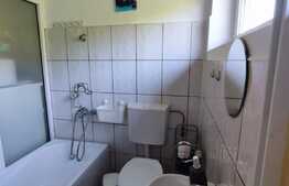 Apartament 1 camera, 29.50 mp, mobilat, utilat, zona Horea 