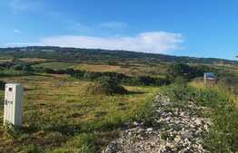 Teren intravilan 653mp,situat in Colonia Valea Fanatelor