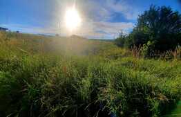 Teren intravilan 653mp,situat in Colonia Valea Fanatelor