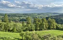 Reducere de pret!Casa individuala 170 mp, teren de 750 mp, Feleacu