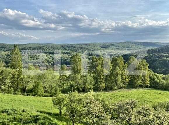 Casa de vânzare 4 camere Feleacu - 90667CV | BLITZ Cluj-Napoca | Poza13