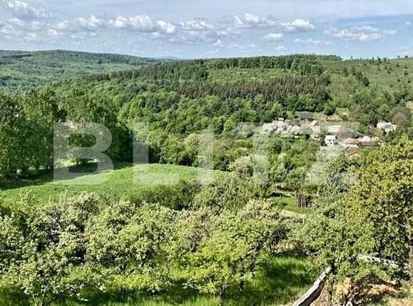 Casa de vânzare 4 camere Feleacu - 90667CV | BLITZ Cluj-Napoca | Poza12