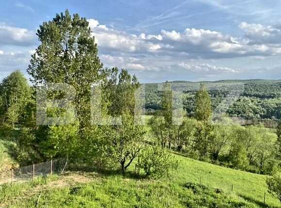 Casa de vânzare 4 camere Feleacu - 90667CV | BLITZ Cluj-Napoca | Poza10