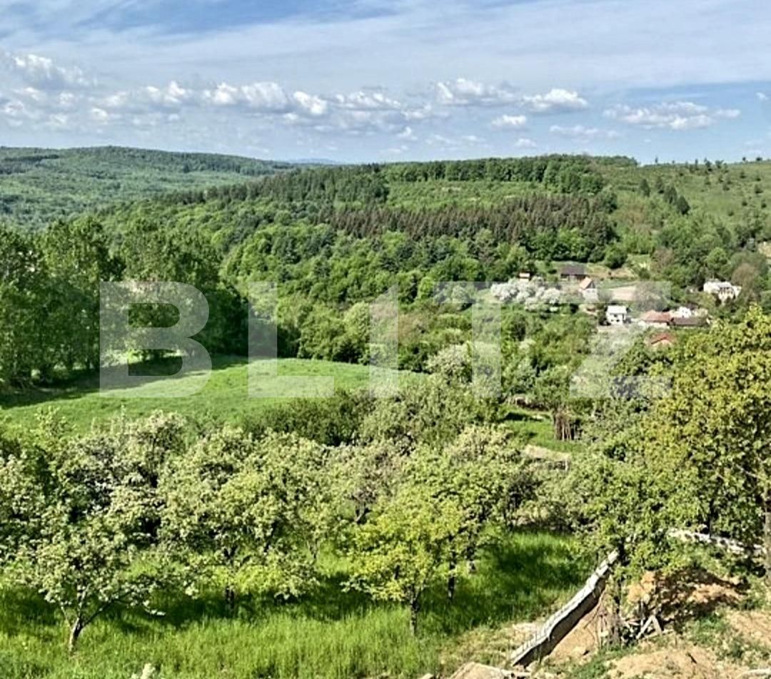 Casa de vânzare 4 camere Feleacu - 90667CV | BLITZ Cluj-Napoca | Poza12