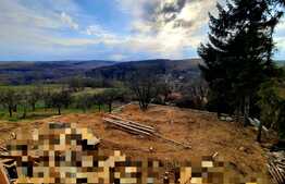 Teren de 750 mp si casa individuala la rosu, 170 mp utili, situat in Feleacu