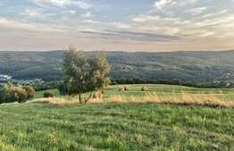 Teren de 750 mp si casa individuala la rosu, 170 mp utili, situat in Feleacu