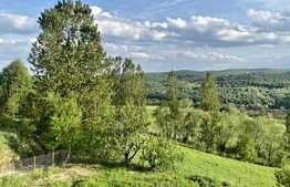 Teren de 750 mp si casa individuala la rosu, 170 mp utili, situat in Feleacu