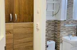 Garsoniera de 35 mp, zona strazii Constantin Brancusi