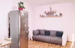 Apartament 2 camere, 43 mp, mobilat, zona Ioan Rus!
