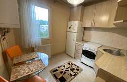 Garsoniera de 30 mp, decomandata, zona Astra 