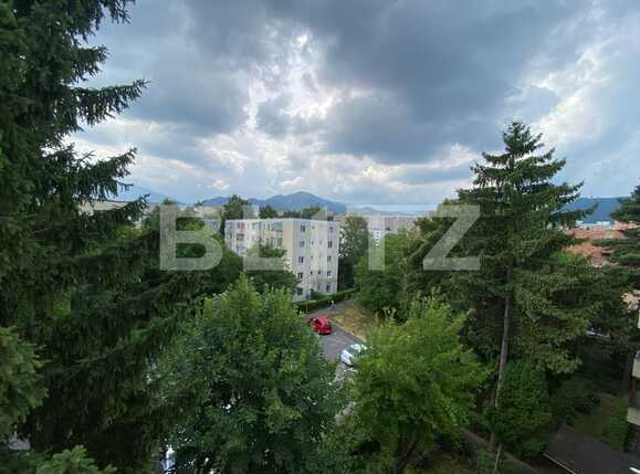 Garsonieră de vânzare Astra - 90693AV | BLITZ Brașov | Poza8