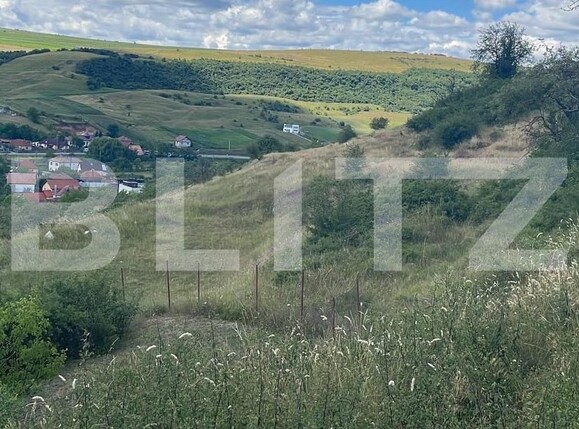 Teren de vânzare Baciu - 90710TV | BLITZ Cluj-Napoca | Poza1