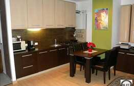 Apartament 3 camere, semidecomandat, 58 mp utili plus terasa de 37 mp!