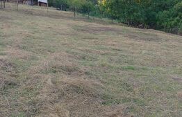 Teren intravilan 800 mp cu autorizatie constructie, Ciurila 