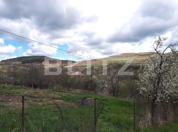 Teren de vânzare Salicea - 90739TV | BLITZ Cluj-Napoca | Poza6