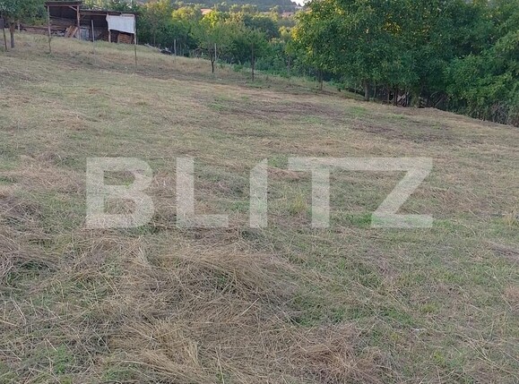 Teren de vânzare Salicea - 90739TV | BLITZ Cluj-Napoca | Poza2