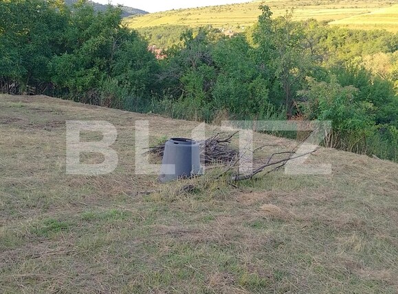 Teren de vânzare Salicea - 90739TV | BLITZ Cluj-Napoca | Poza1