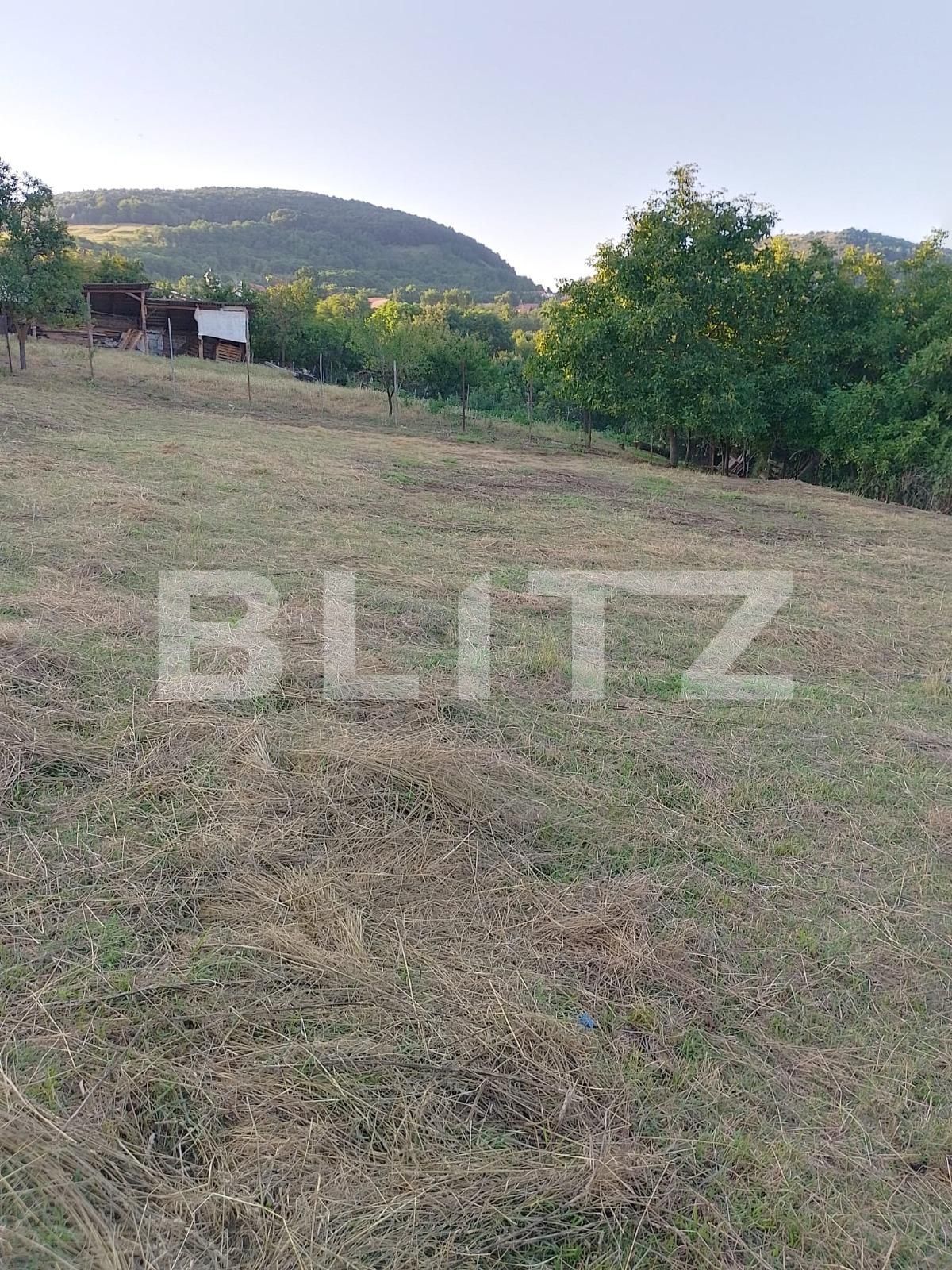 Teren de vânzare Salicea - 90739TV | BLITZ Cluj-Napoca | Poza2