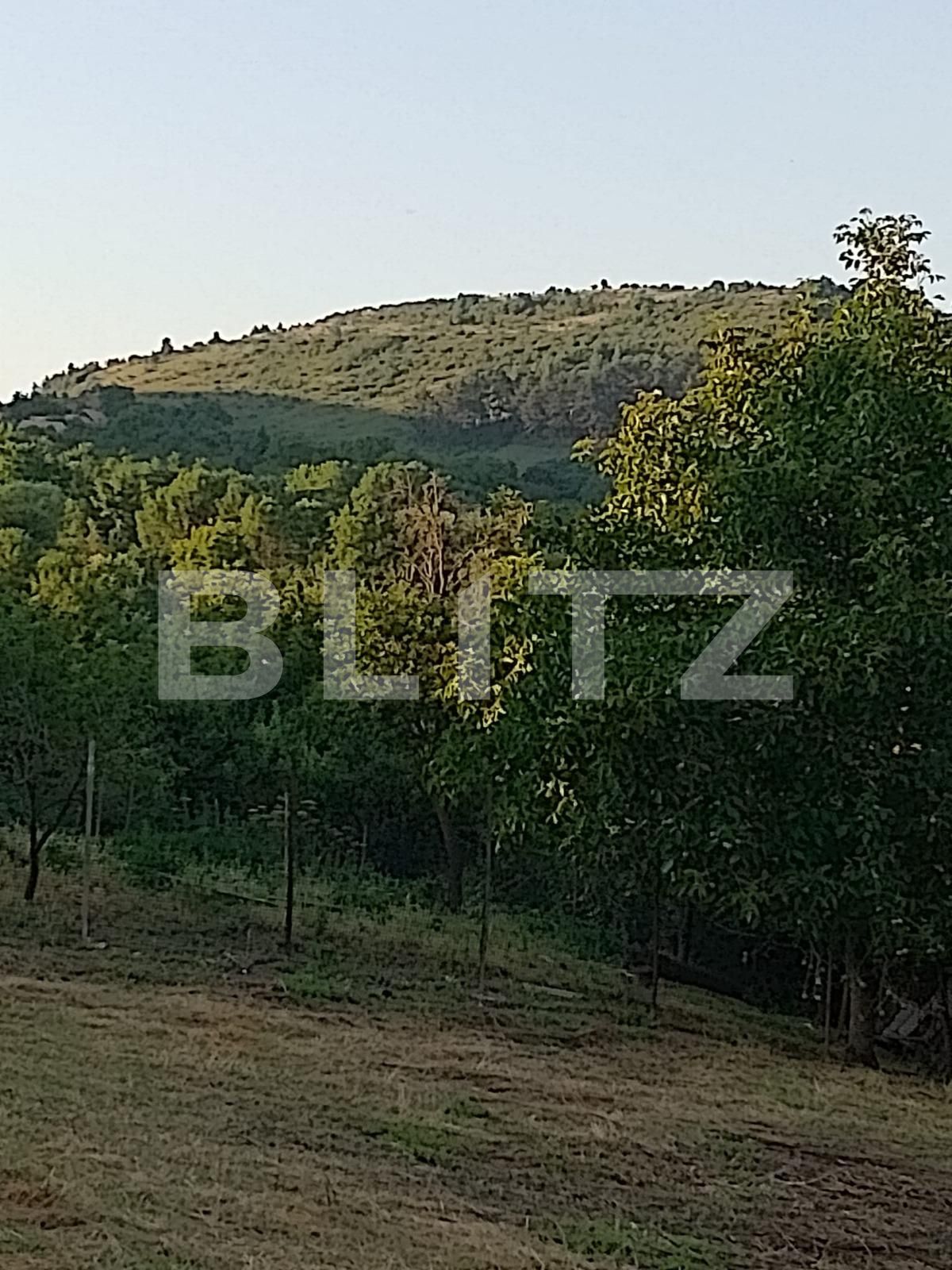 Teren de vânzare Salicea - 90739TV | BLITZ Cluj-Napoca | Poza3