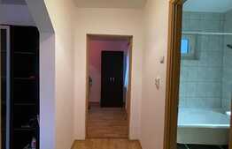 Apartament de 3 camere, 58 mp, pet friendly, zona Fantanele